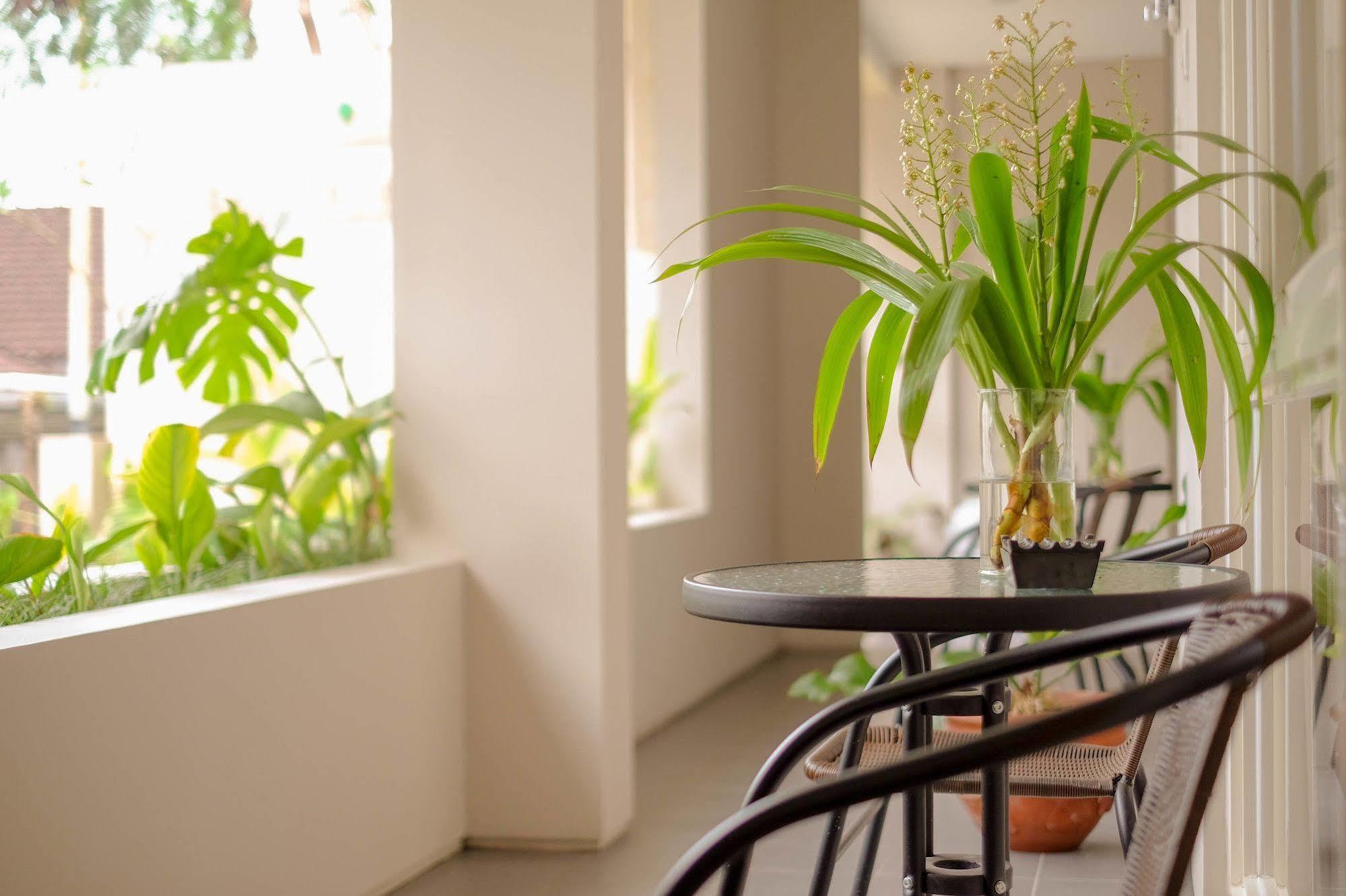 덴파사르 Bali True Living 아파트 호텔 외부 사진
