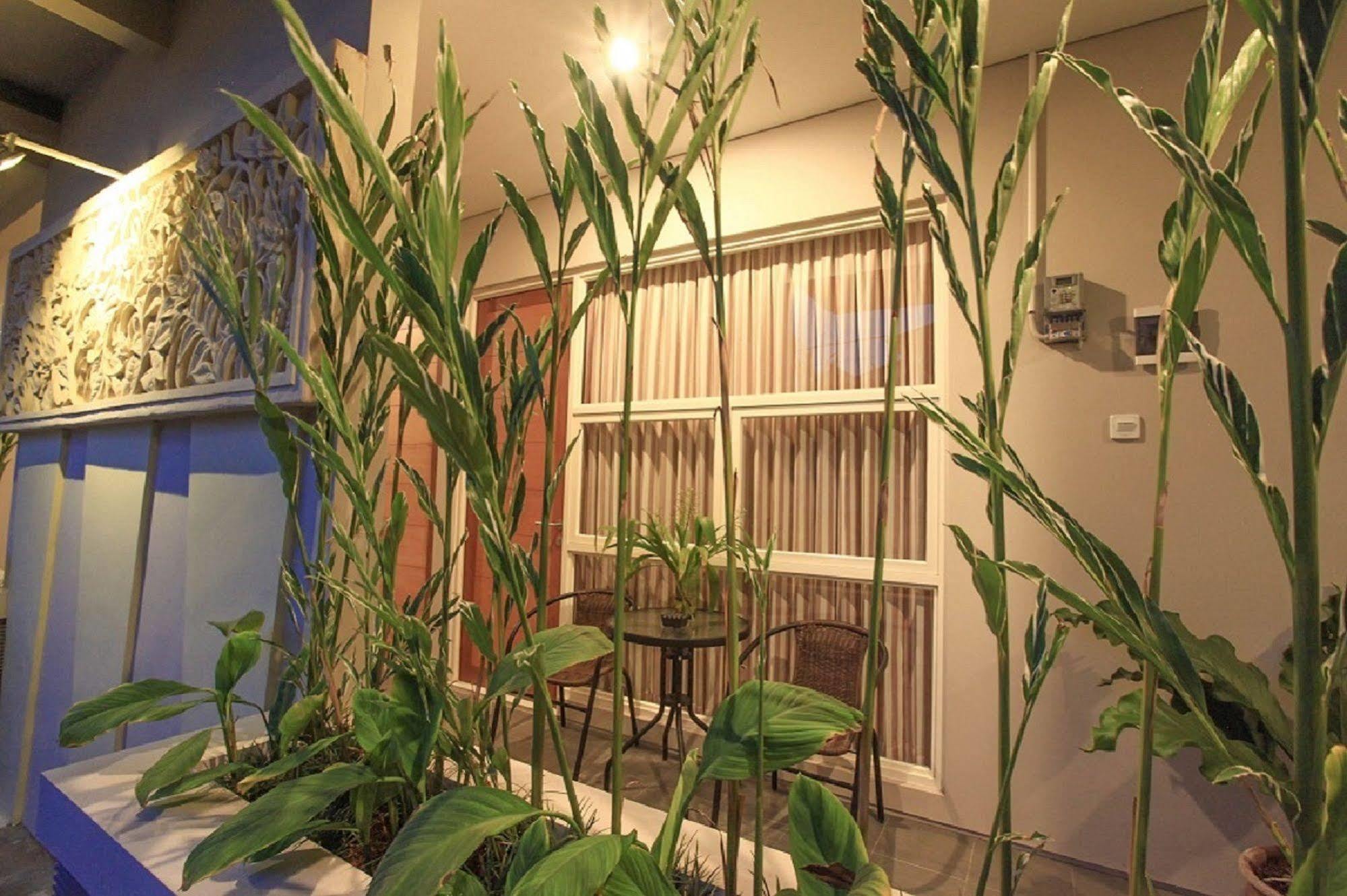 덴파사르 Bali True Living 아파트 호텔 외부 사진